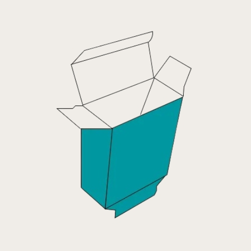 bottom box