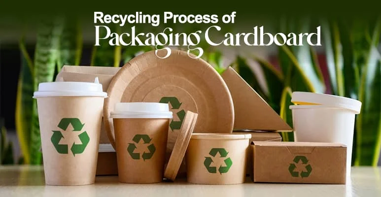Recycling Process Of Packaging Cardboard: From Waste To Useful