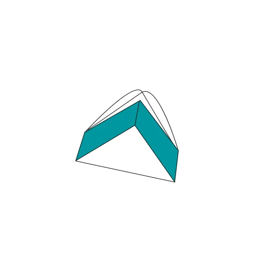 triangular tray lid bulk
